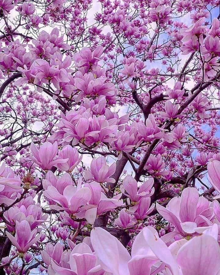 Trivo Lencia Media workshop space where corporate flower arrangements are designed and prepared for business delivery